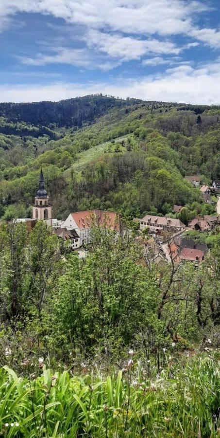 Gite A Andlau Экстерьер фото